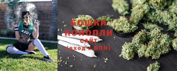 СК Протвино