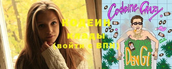 СК Протвино