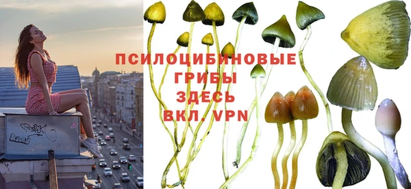 СК Протвино
